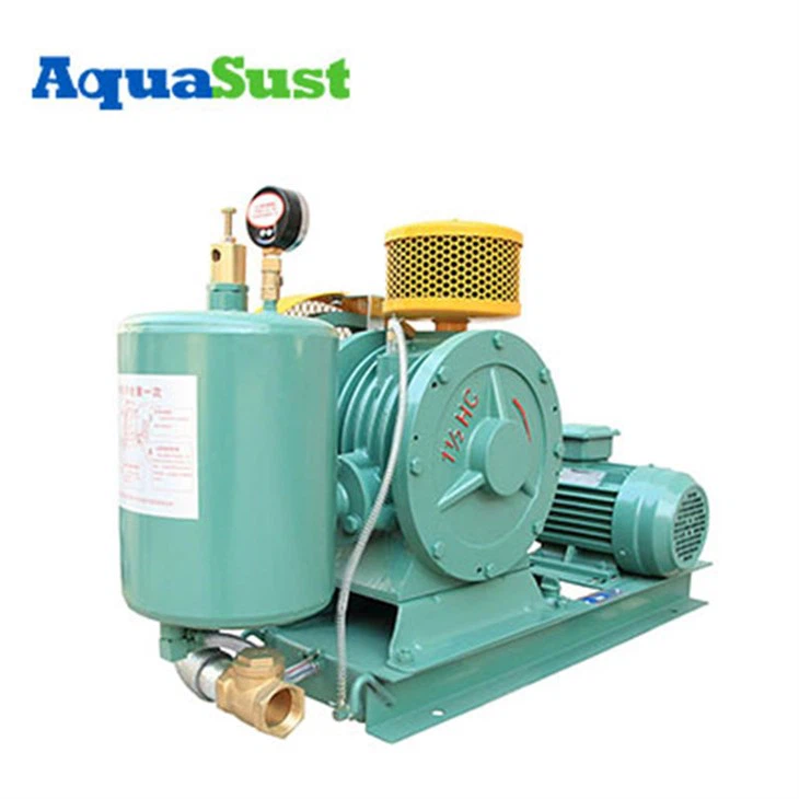 Roots Air Blower